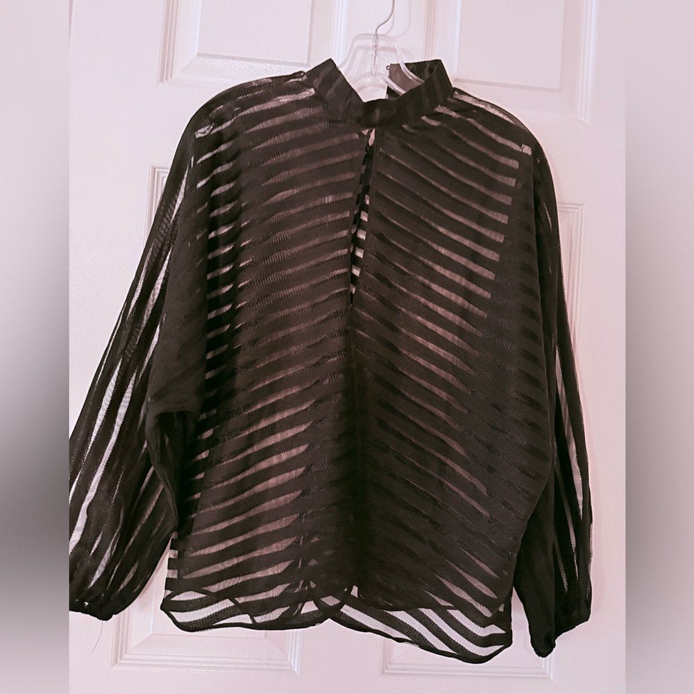 CBR Black Sheer Striped Long Sleeve Blouse